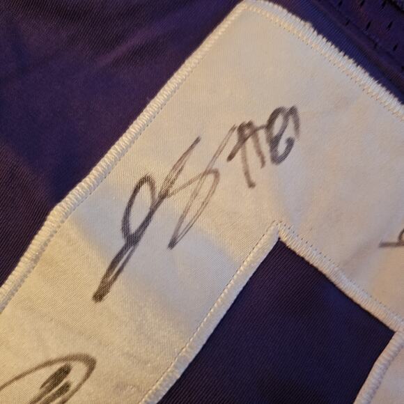 Vintage Teddy Bridgewater Signed Stitched Minnesota Vikings NFL Football Jersey - Picture 4 of 7